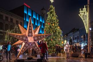 Die Christbäume der Stadt gibt es seit genau 100 Jahren. Die Christbäume der Stadt gibt es seit genau 100 Jahren.