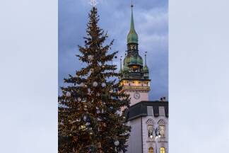 Die Christbäume der Stadt gibt es seit genau 100 Jahren. Die Christbäume der Stadt gibt es seit genau 100 Jahren.