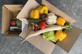Paprika mit ein kleinen Fältchen, Bananen mit braunen Flecken. Kein Fall für den Müll, sondern einer für foodsharing.at. Paprika mit ein kleinen Fältchen, Bananen mit braunen Flecken. Kein Fall für den Müll, sondern einer für foodsharing.at.
