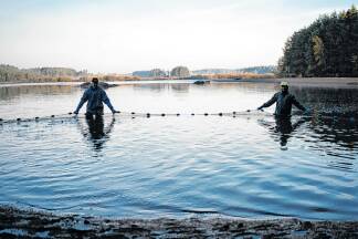 Die traditionelle Karpfenteichwirtschaft im Waldviertel ist eine der nachhaltigsten Formen der Fischzucht. 