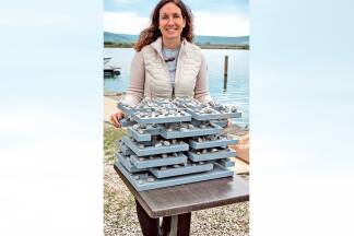 Unweit der Fischbecken werden die Bauteile mit integrierten Natursteinen, wie im Modell ersichtlich, im Meer vor Piran versenkt.  