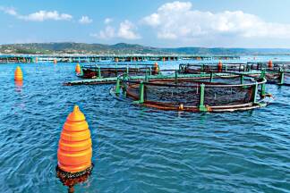 Unweit der Fischbecken werden die Bauteile mit integrierten Natursteinen im Meer vor Piran versenkt.  