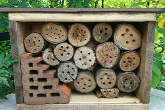 Insektenhotels im Optimalfall auf einer Blumenwiese platzieren. 