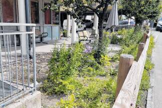 Ein Staudenbeet ziert bisher leere Flächen rund um das Seniorenwohnheim in Kaprun. 