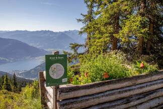 „Kraut & Ruam“: Kräuterwanderweg auf der Schmitten in der Region Zell am See-Kaprun. 