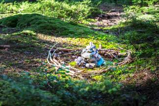 Der Reinigungsplatz im Hachauer Wald. Der Reinigungsplatz im Hachauer Wald.