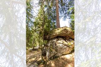 Der Lärchenstein. Der Lärchenstein.