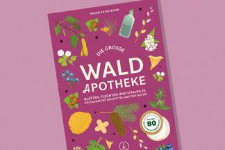 Die Kraft des Waldes 