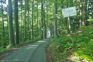 Wenig später geht es bergab durch den Wald... 