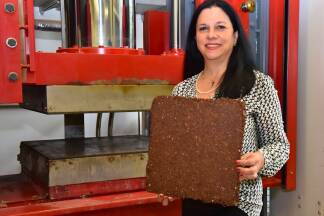 Eugenia Mariana Tudor forscht an der FH Kuchl an Rindendämmung.  Eugenia Mariana Tudor forscht an der FH Kuchl an Rindendämmung.
