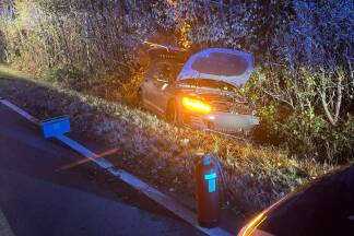 Der Lenker kam aus unbekannter Ursache mit seinem Auto von der Straße ab. 