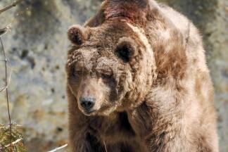 Aragon sei ein ausgesprochen umgänglicher Zeitgenosse gewesen. 