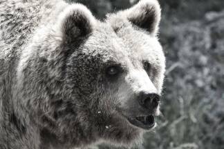 Aragon sei ein ausgesprochen umgänglicher Zeitgenosse gewesen. 