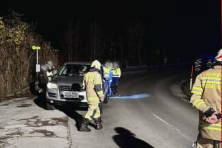 Nach etwa einer Stunde wurde der Einsatz beendet. 