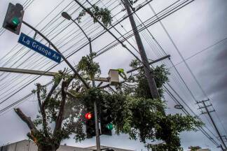 Schäden nach dem Sturm. Schäden nach dem Sturm.