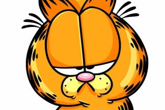 Alles Gute zum 40er, Garfield: Faul ist super! | SN.at