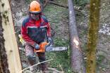 Kreuz und quer: Ein Forstfacharbeiter arbeitet Windwurf- und Windbruchschäden in Bad Vigaun auf. 