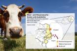 Laut den Daten der Ages sind bereits mehrere Bezirke in Niederösterreich und im Burgenland Teil der kleineren Überwachungs- bzw. der größeren Sperrzone.  