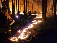Immer mehr Waldbrände? Eine Strategie wird gesucht