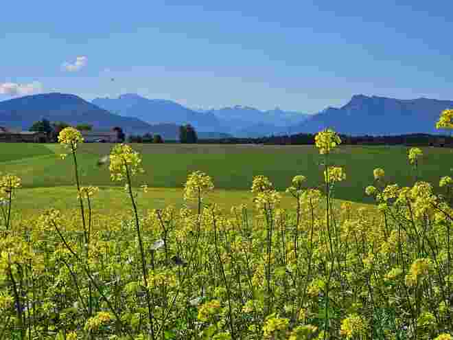 Buchberg Richtung Untersberg