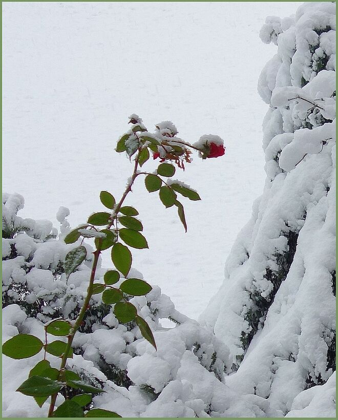 Ohh - ist das jetzt der Winter ?