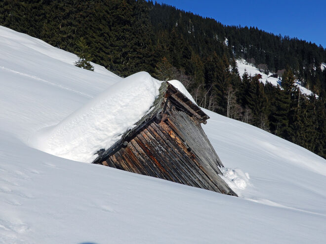 Zu alt und zu schwer