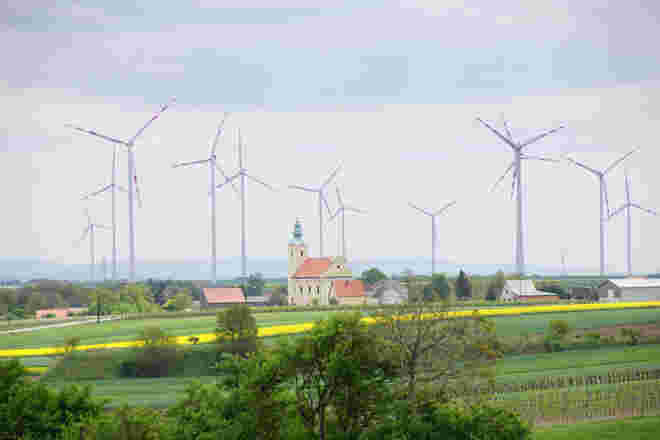 Wenn die Bäume in den Himmel wachsen...