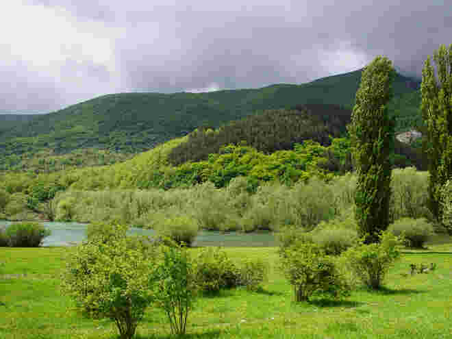 Grün