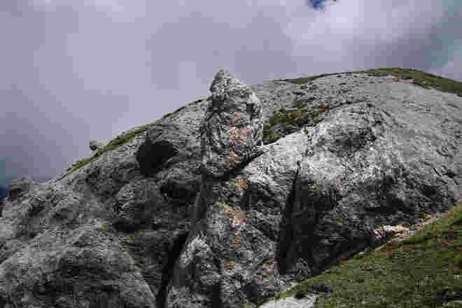 Der Löwe