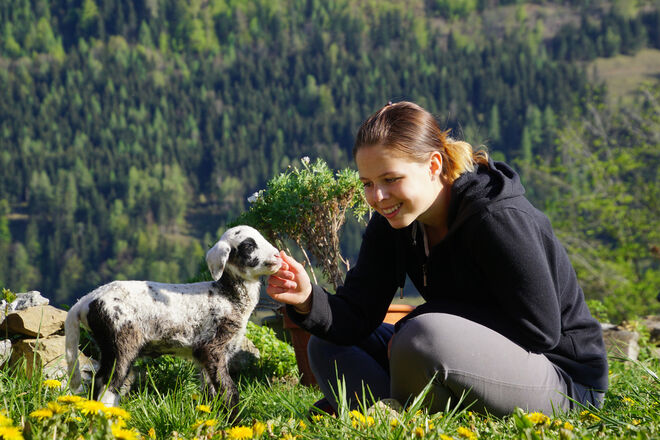 auch das ist Frühling