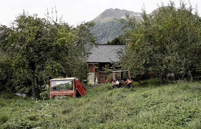 rot oder gelb - interessiert sich auch jemand für uns ???