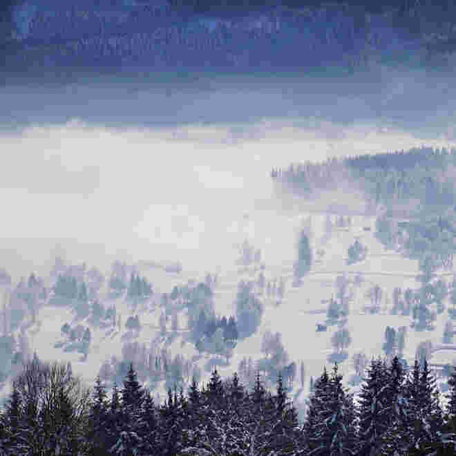 "kranke Landschaft"