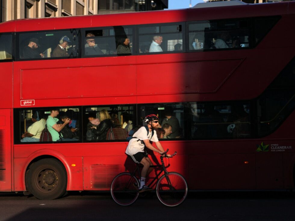 Klagen über Kakerlaken in Londoner Bussen