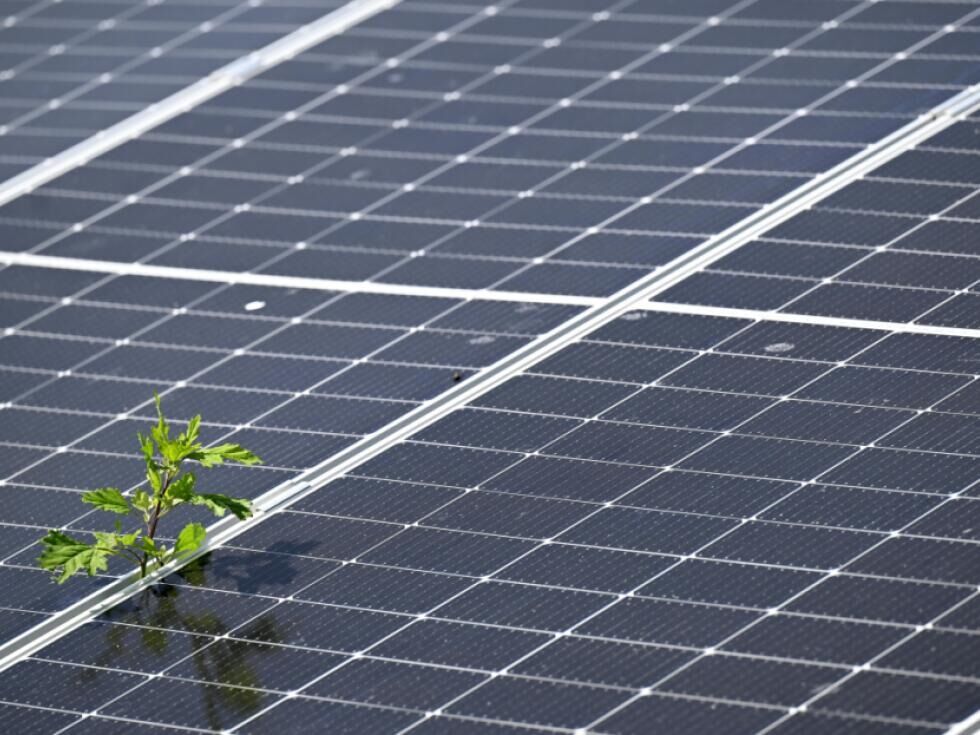 Skoraj 50 milijonov evrov namenjenih drugemu razpisu za fotovoltaiko v Avstriji