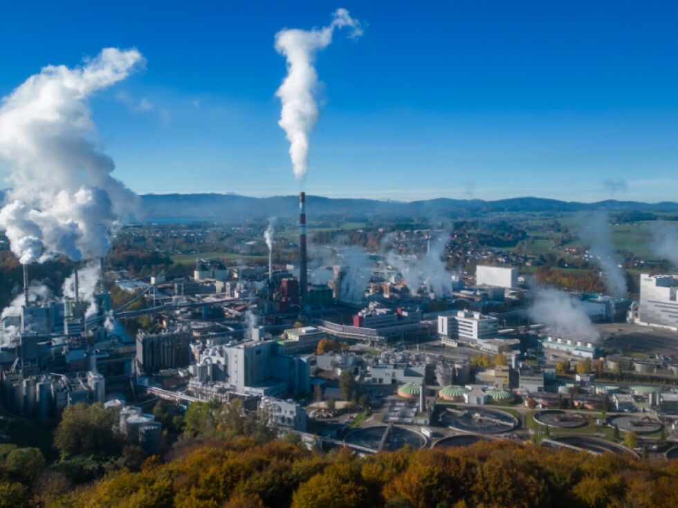 Delavci družbe Lenzing protestirajo proti napovedanemu odpuščanju delavcev
