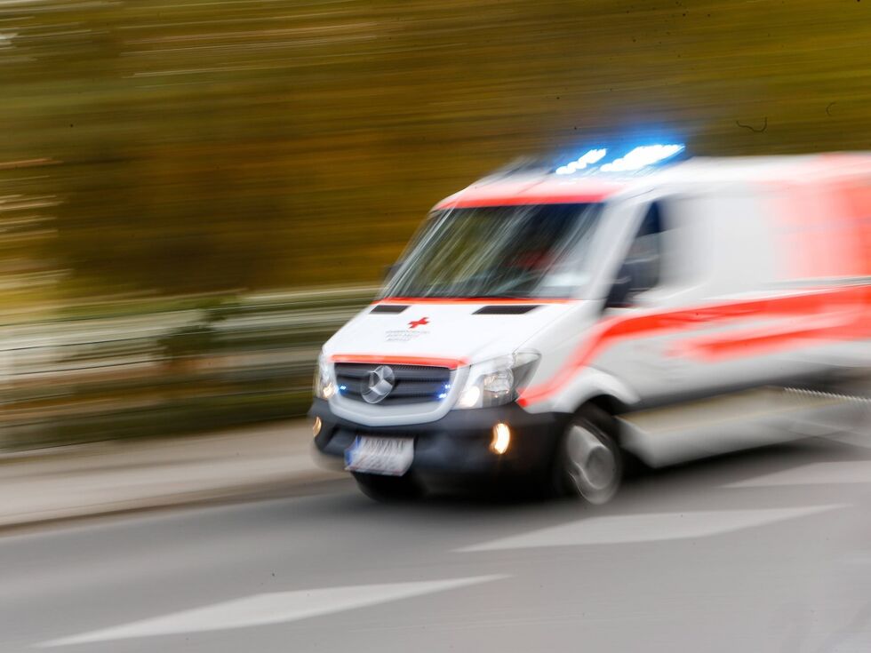 Zwölfjähriger Bub in Maria Alm im Stall von Weidegittern erdrückt