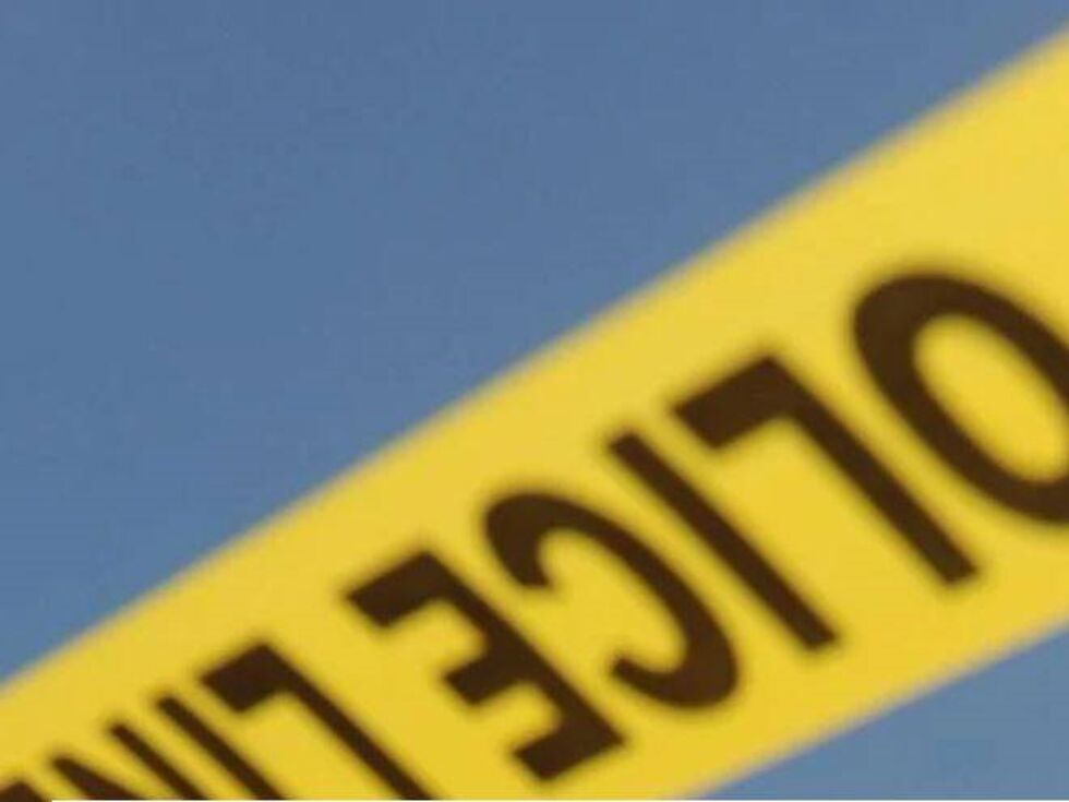 Mehr als 20 Verletzte - Auto fährt in LA in Menschemenge