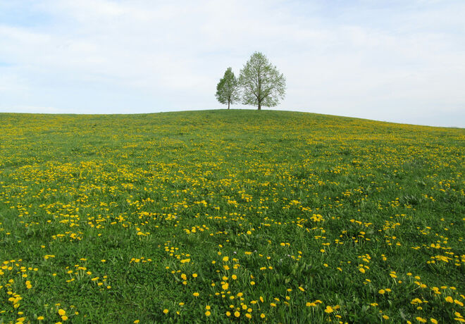minimalistisch und doch füllend