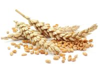 Mit Schale und Keimling