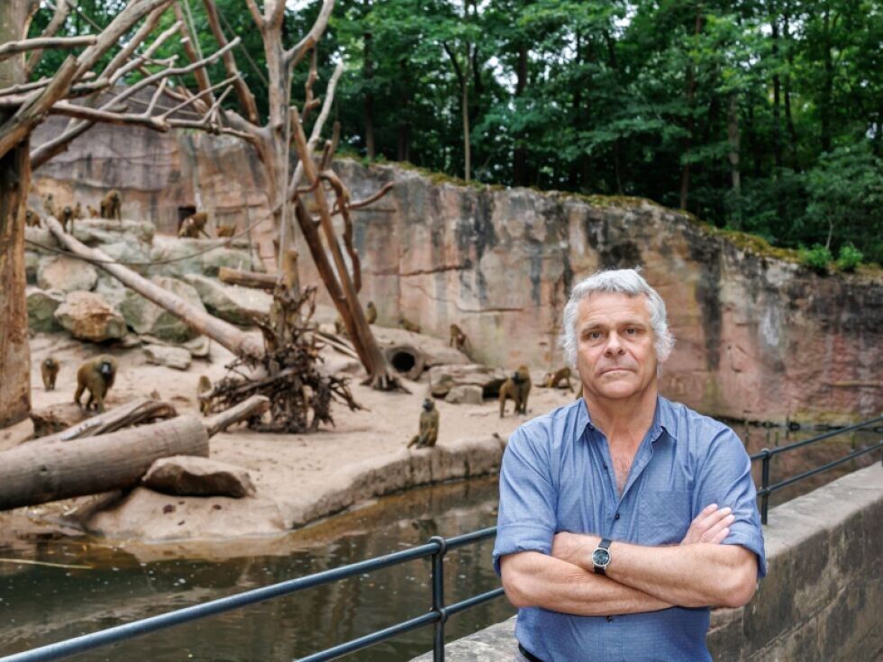 Morddrohungen gegen Nürnberger Zoo-Direktor nach Affentötung