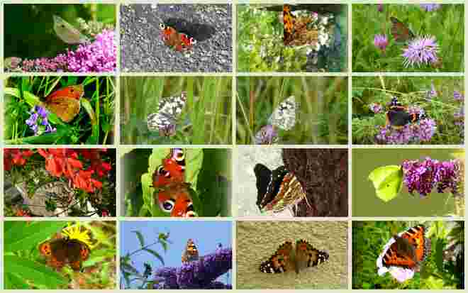 buntes Allerlei..