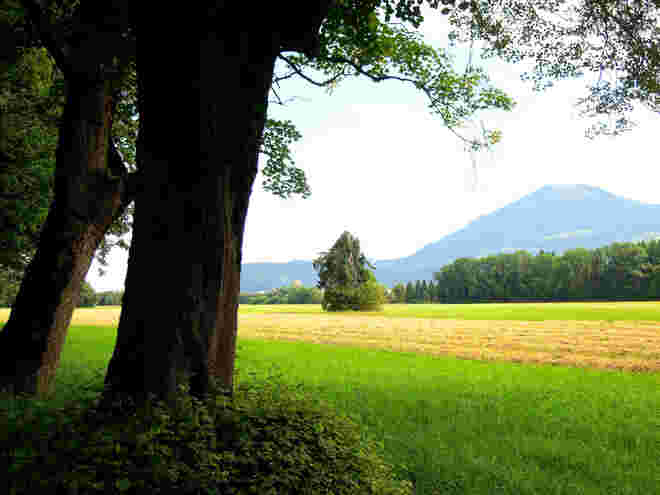 Einzelstück