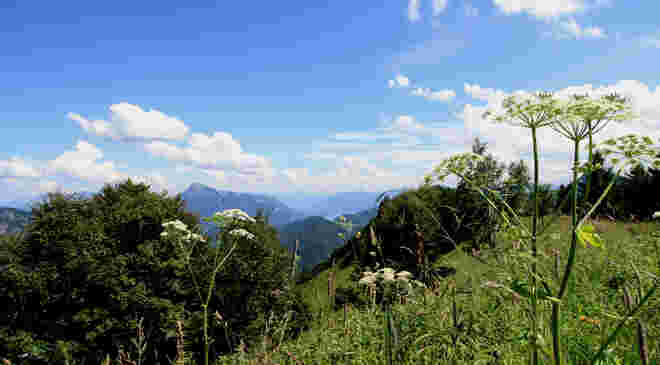Sommer auf dem Filbling