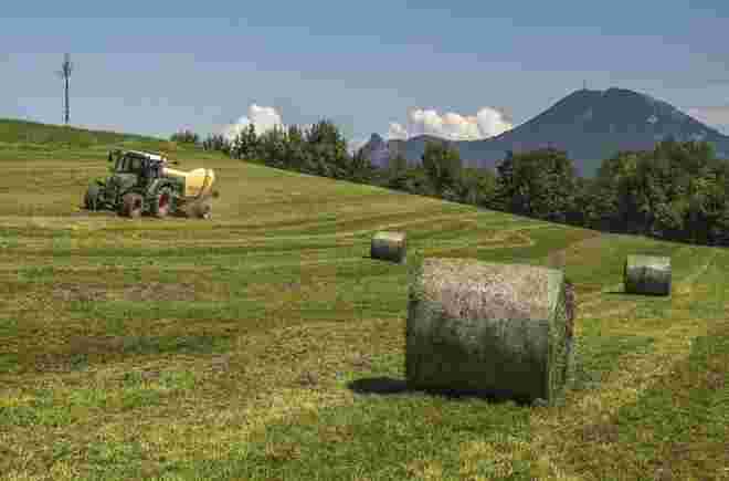 Ideales Erntewetter