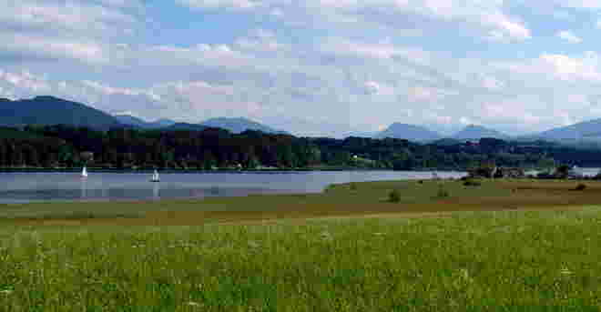 Blick auf den Wallersee