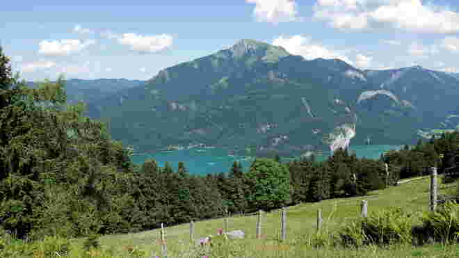 Blick auf Fürberg-Bucht und Falkenstein
