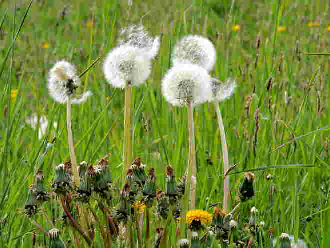vom Wind noch verschont