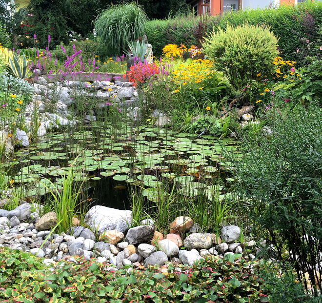 Über den Zaun geschaut