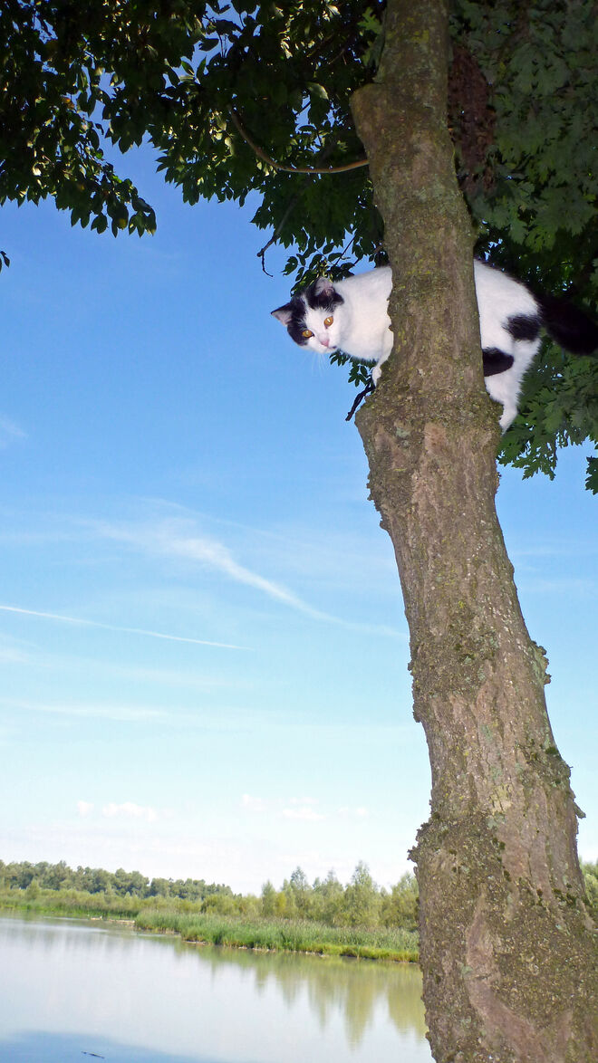 Kannst du mir runterhelfen?!