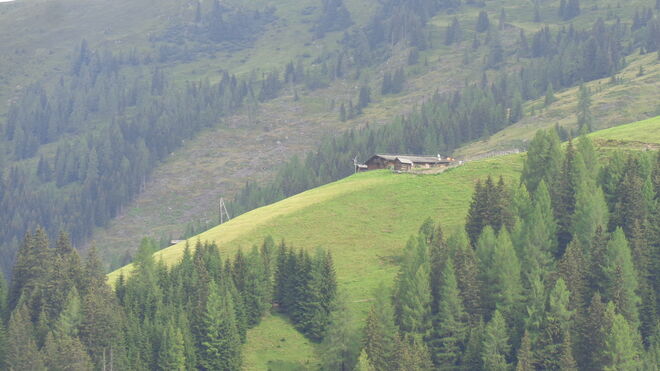 Am Weg zur Loosbichlalm